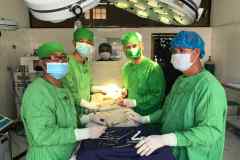 Surgical-Team-1024x709
